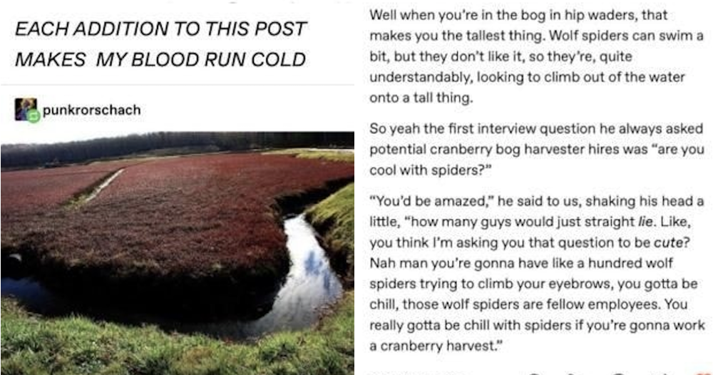 The detail about the spiders in how they grow cranberries is freaking