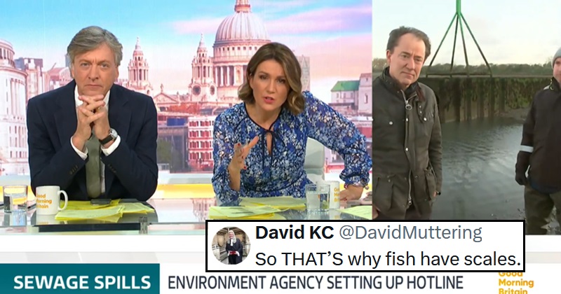 England’s fish are ‘full of cocaine’ and the jokes almost wrote themselves – 19 high points