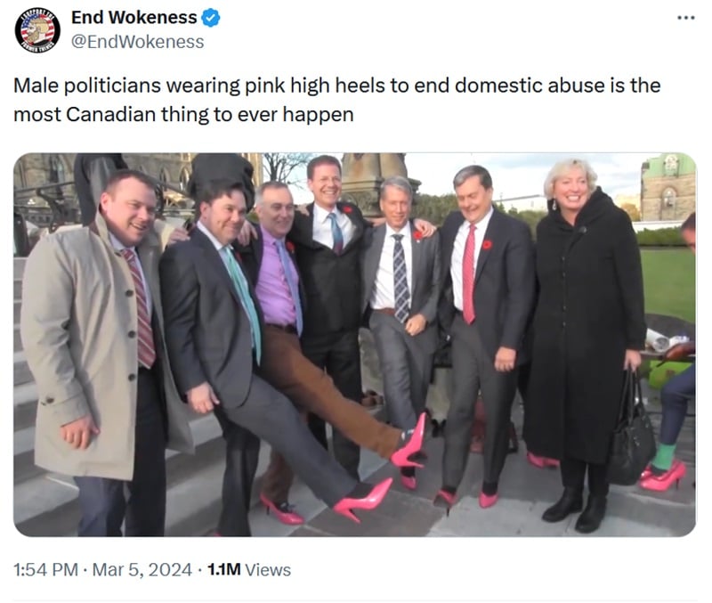 @EndWokeness tweet. 
Male politicians wearing pink high heels to end domestic abuse is the most Canadian thing to ever happen