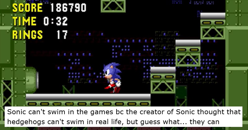 Sonic can't swim in the games bc the creator of Sonic thought that hedgehogs can't swim in real life, but guess what... they can
