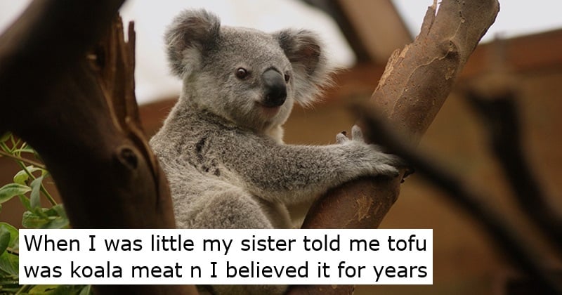 When I was little my sister told me tofu was koala meat n I believed it for years