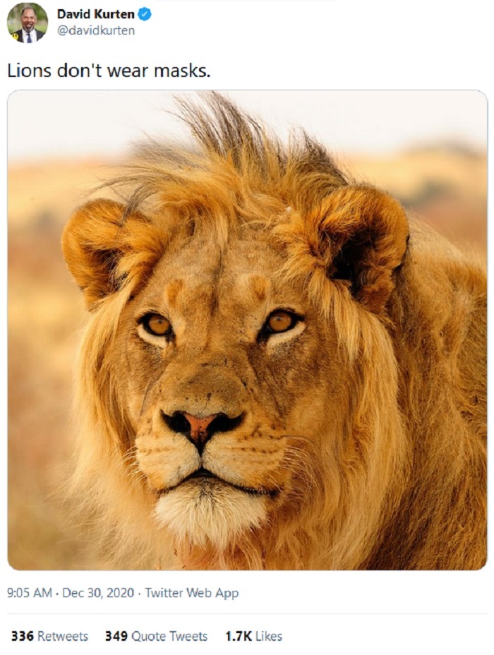 A picture of a lion with the text 'Lions don't wear masks'