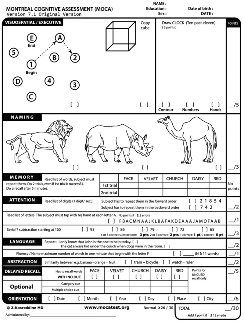 The test sheet showing that the question involves a lion, a rhino and a camel.